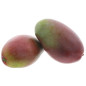 BIO MANGUE OSTEEN 9PCS